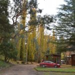The cabin park is set in a beautiful parkland