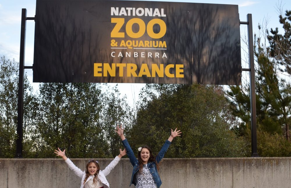 A quick look around Canberra Zoo