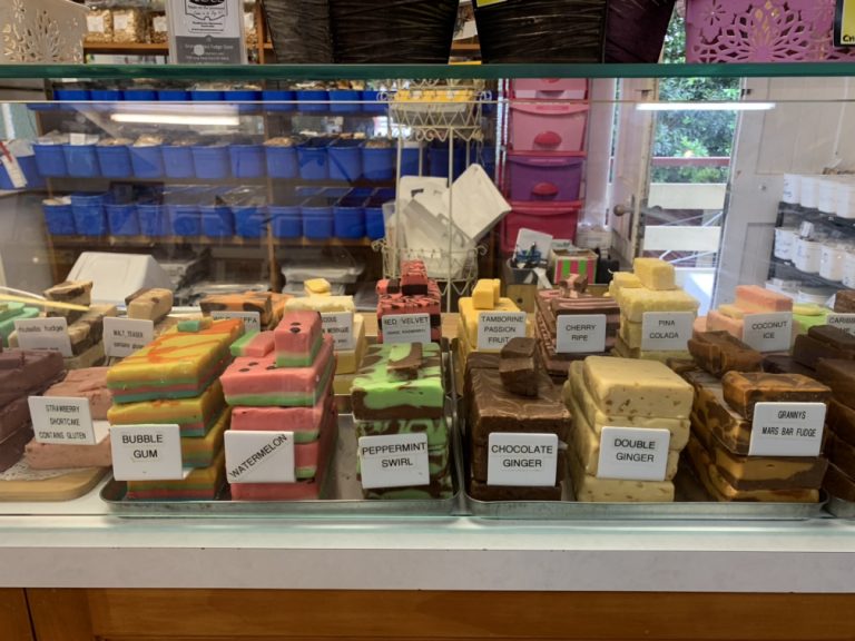 BIG4 Gold Coast Holiday Park the perfect allround Queensland family