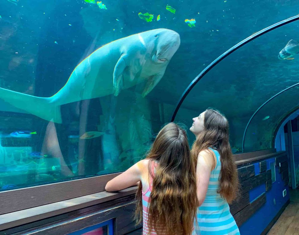 Sydney Aquarium Review Things to do in Sydney with kids! Let's go MumLet's go Mum