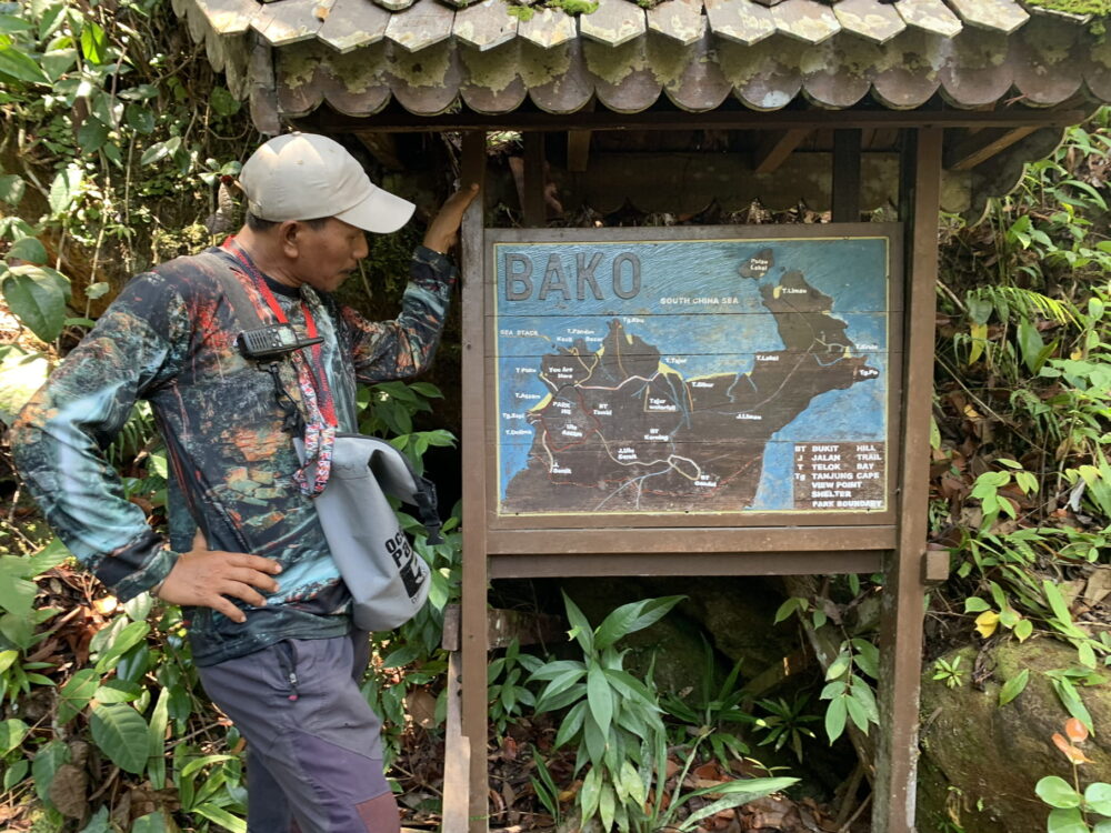 Our guide was an expert at Bako NP