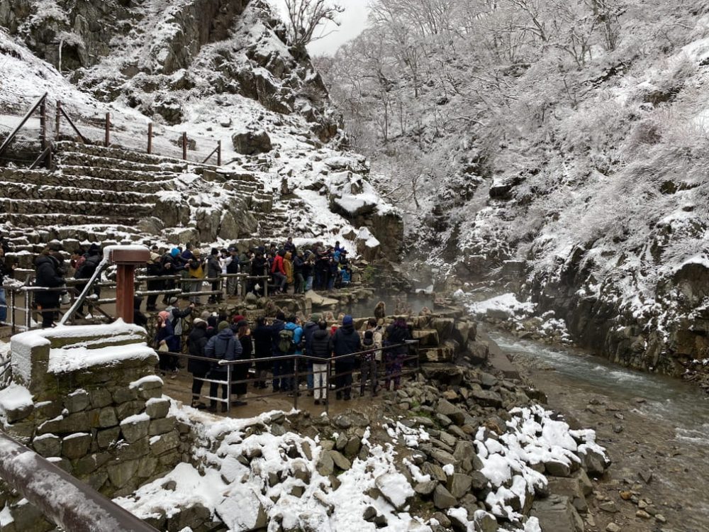 It was easy to find the Snow Monkey pool!