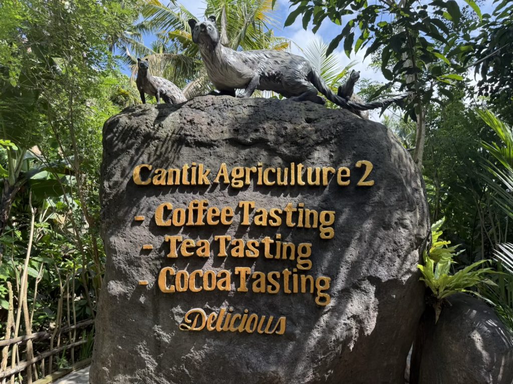 The Cantik Agriculture Coffee Plantation