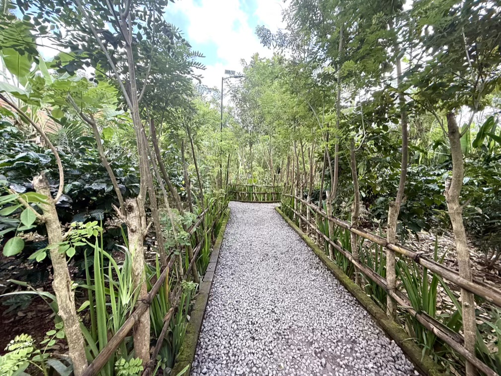 We strolled through the small plantation