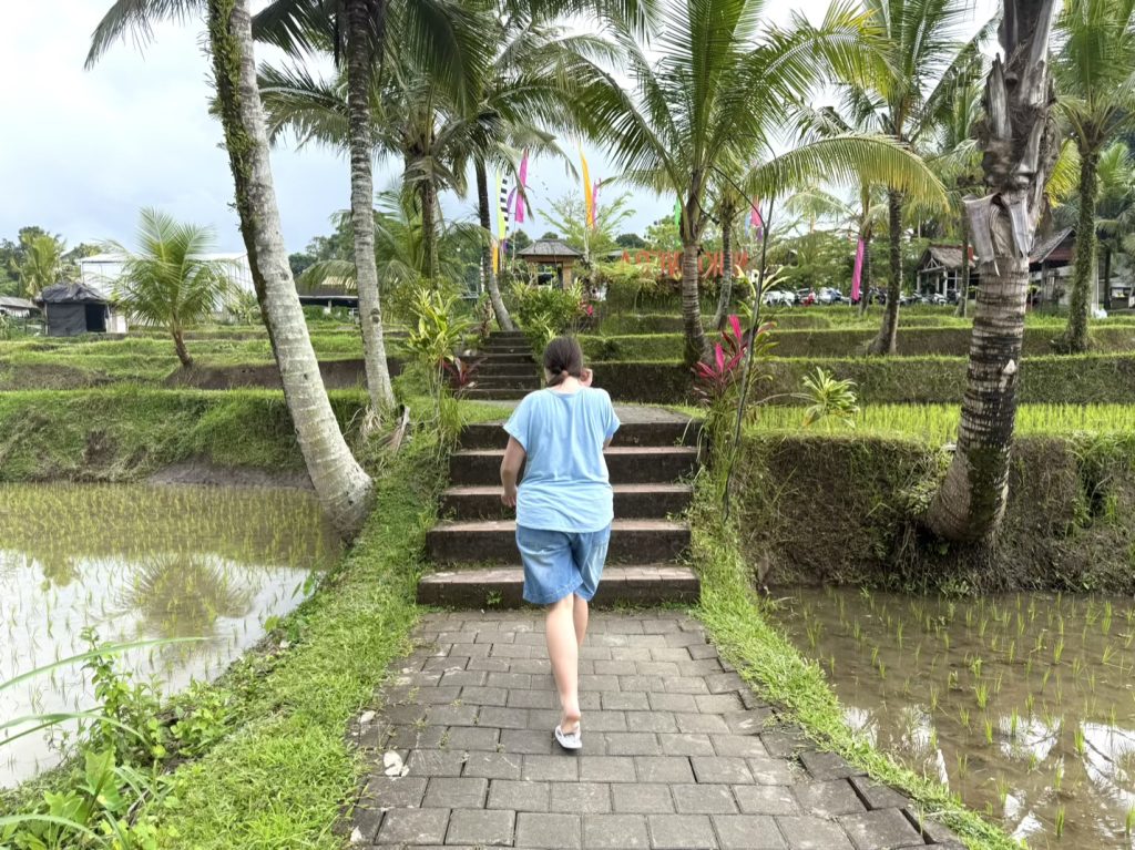 To get down to the tubing area you pass through rice terraces