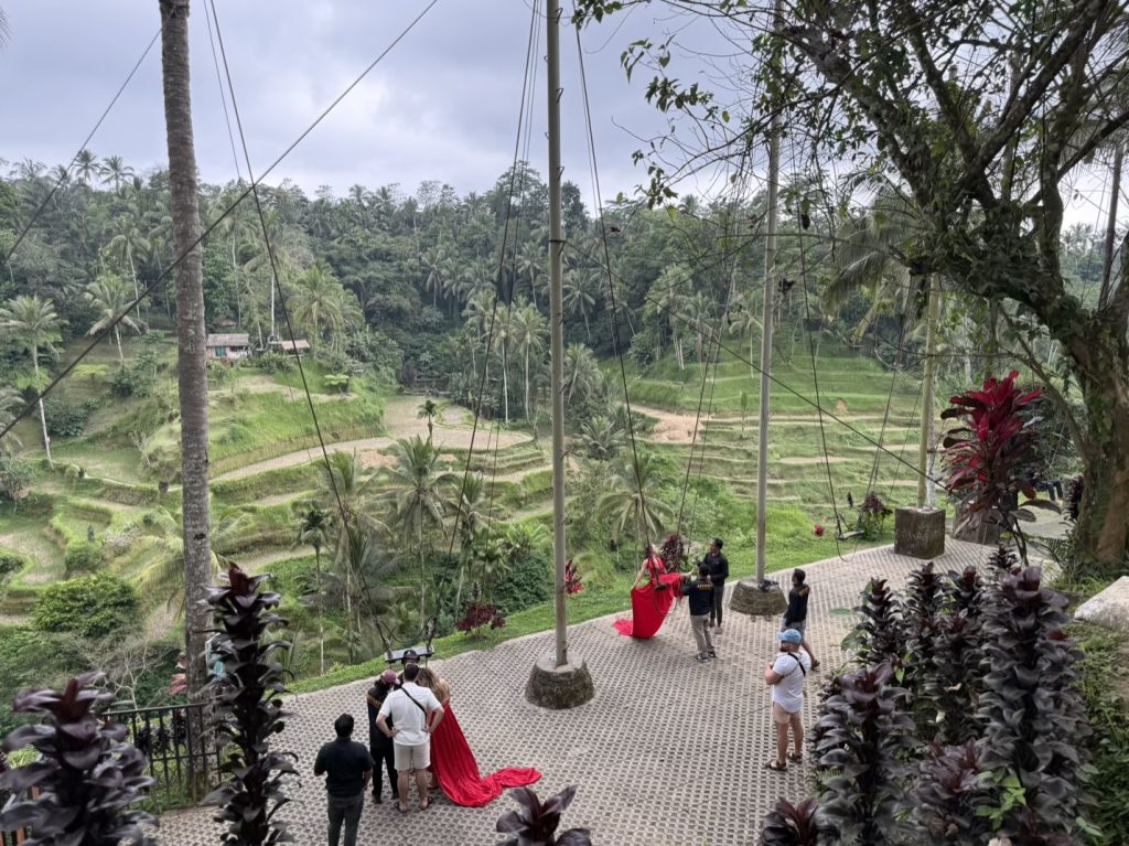 The Bali Swings