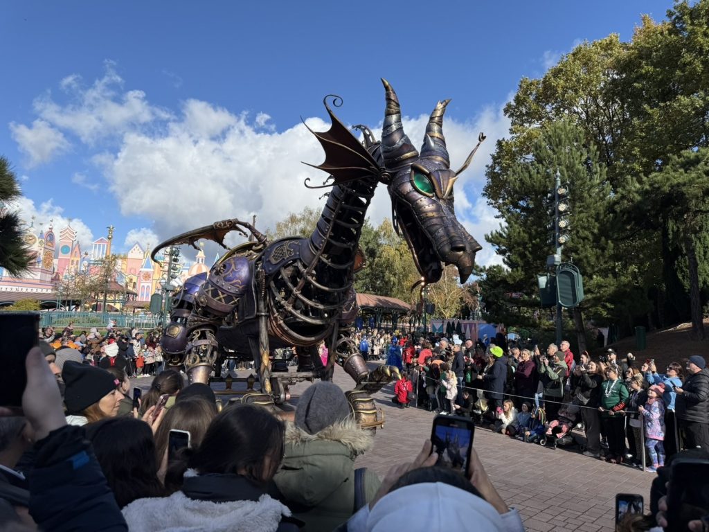 There are different reserved disability areas for day parades and the night show 