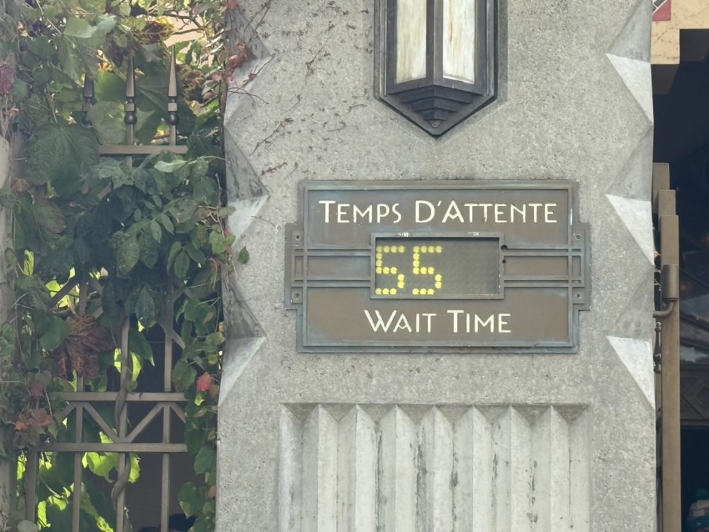 Ride standby queues are often around an hour long