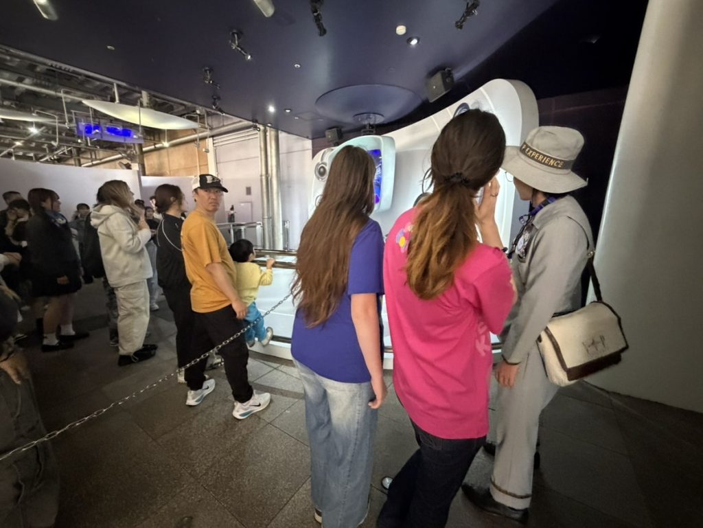 You're VIP Tour Guide will get you right to the front of any attraction
